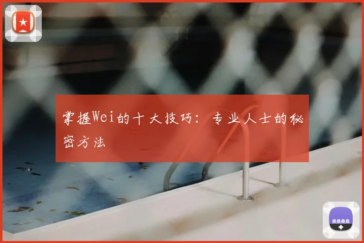 掌握Wei的十大技巧:专业人士的秘密方法