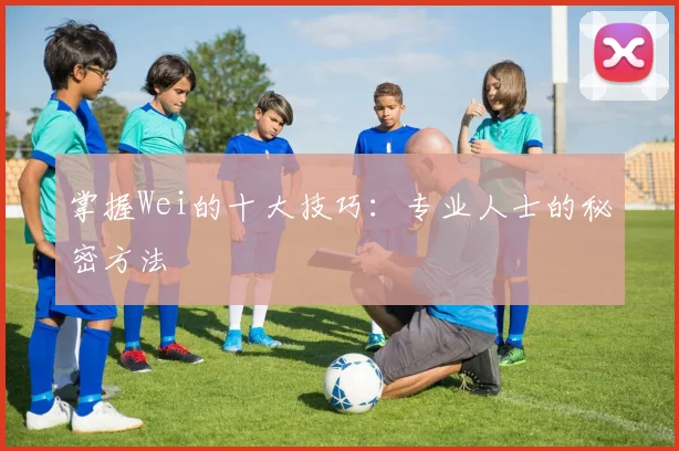 掌握Wei的十大技巧:专业人士的秘密方法