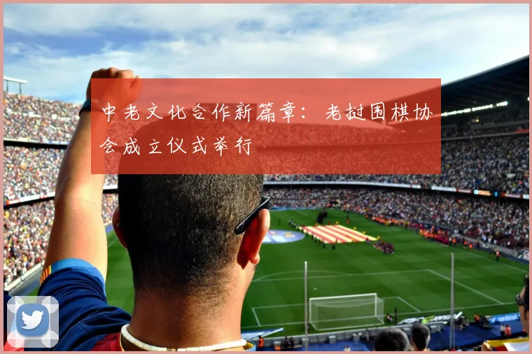 中老文化合作新篇章：老挝围棋协会成立仪式举行