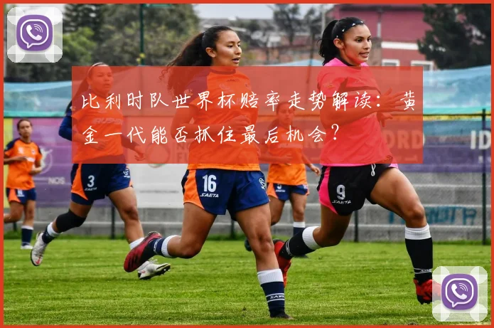 比利时队世界杯赔率走势解读:黄金一代能否抓住最后机会?