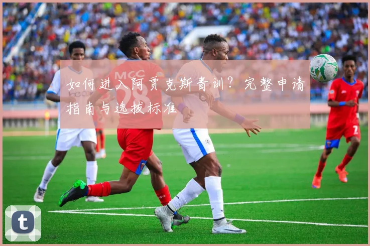 如何进入阿贾克斯青训?完整申请指南与选拔标准