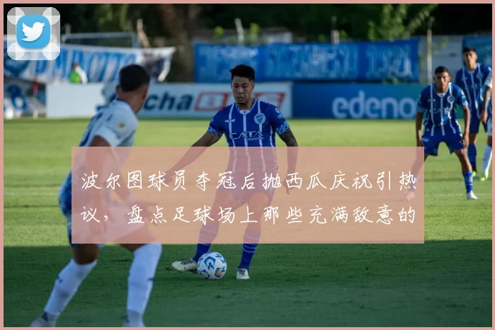 波尔图球员夺冠后抛西瓜庆祝引热议,盘点足球场上那些充满敌意的庆祝行为与球迷文化冷知识