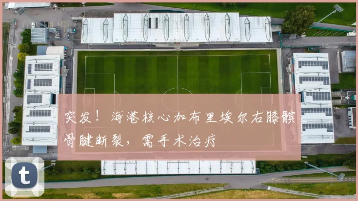 突发!海港核心加布里埃尔右膝髌骨腱断裂,需手术治疗